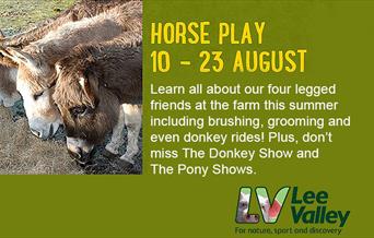 Donkey and Pony shows at Lee Valley Park Farms 10 - 23 August.
