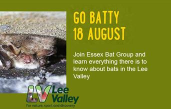 Go Batty at Lee Valley Farms, Waltham Abbey.