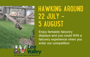 Hawking Around at Lee Valley Park Farms