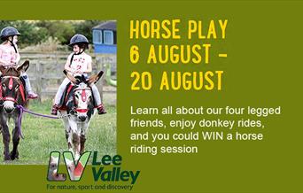 Horse Play at Lee Valley Park Farms, Waltham Abbey.