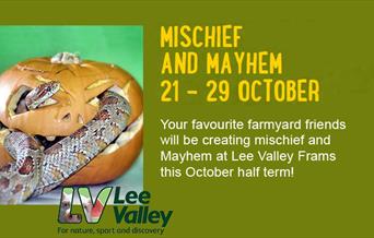Mischief and Mayhem at Lee Valley Parks, Waltham Abbey.