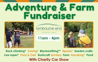 Lambourne End Centre Adventure and Farm Open Day, including classic car show