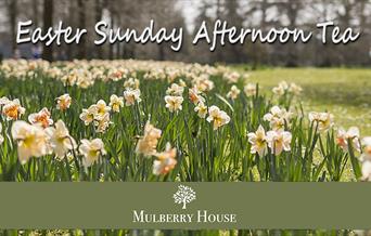 Celebrate Easter Sunday with a special afternoon tea at Mulberry House