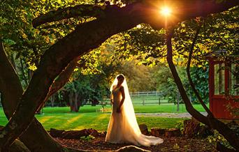 Evening in the grounds of wedding venue Mulberry House, Ongar