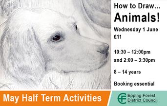 How to draw animals, half-term activity at Epping Forest District Museum