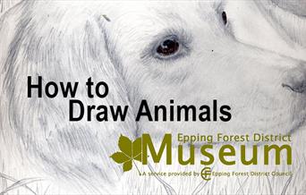 How to Draw Animals, workshops for young and not so young at Loughton and Epping Libraries.