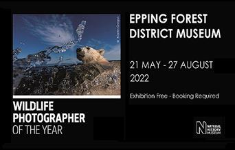 Wildlife Photographer of the Year Free exhibition at the Epping Forest District Museum