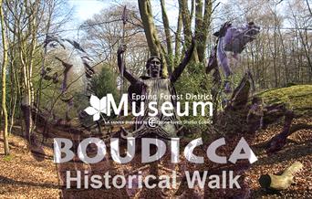 A historical walk in Epping Forest exploring sites linked to Queen Boudicca