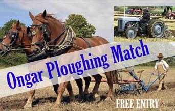 Ongar Ploughing Match illustration
