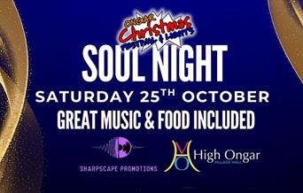 Ongar Soul Night Christmas Lights Fundraiser at High Ongar Village Hall - 25 Oct 2025
