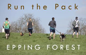 Running with your dog is a fantastic way to keep fit and have fun. Also known as canicross, it's an exciting and fast growing sport.
