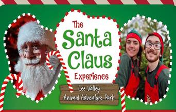 The Santa Claus Experience
