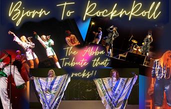 Abba Tribute Bjorn to Rock 'n' Roll at Waltham Abbey Town Council
