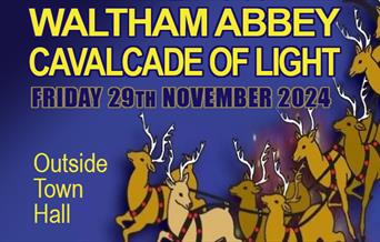 Waltham Abbey Cavalcade of Light 2024