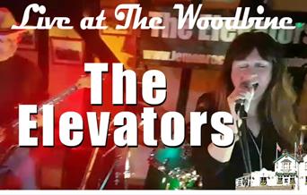 Live at The Woodbine
The Elevators