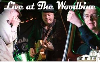 The Hill Street Blues Band Live at the Woodbine. Guaranteed to make you dance your socks off