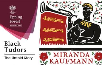Black Tudors book graphic