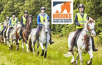 Horse riding in Epping Forest