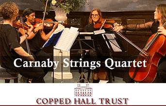 Carnaby Strings Quartet at Copped Hall.