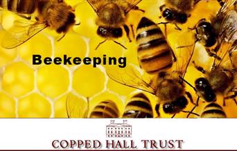 Beekeeping Workshop at Copped Hall