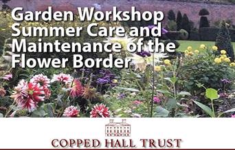 Garden Workshop Summer Care and Maintenance of the Flower Bed