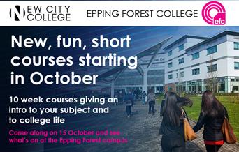 New, Fun October Short Courses