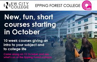 New, Fun October Short Courses