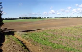 The Essex Way between Coopersale and Toot Hill includes areas emerging from woodland to cross between fields that give spectacular "open sky" views.