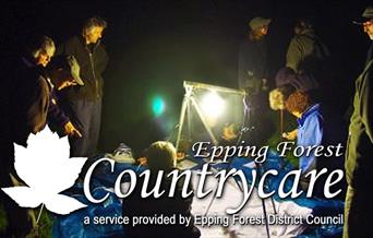 The annual moth trapping evening by Epping Forest  Countrycare.