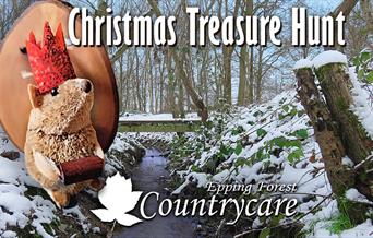 Countrycare Christmas Treasure Hunt in Roughtallys Wood. North Weald