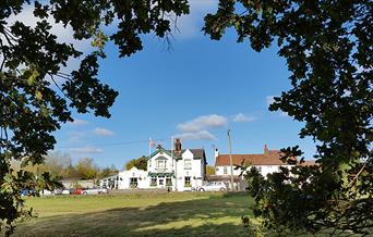 The woodbine viewed from Epping Forest