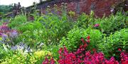 Flowers beside a wall at Copped Hall Epping.