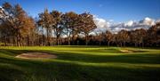 Abridge Golf Club - bunkers and green