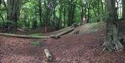 Ambresbury Banks showing the scale of the current ditch  and rampart.