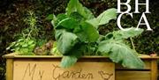 Fruit and vegetable gardening workshop, 6th April at Bedford House Community Association