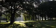 trees on course at Bentley Golf Course