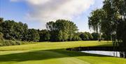 Image of fairway at Bentley Golf Course