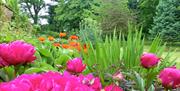 The gardens at Blake Hall, Ongar