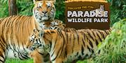 Paradise Wildlife Park, Broxbourne