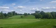 Chigwell Golf Club green and fairway