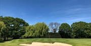 Chigwell Golf Club bunker and green