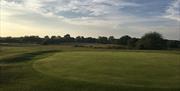 Chingford Golf Course green at dusk