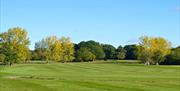 Chingford Golf Course fairway