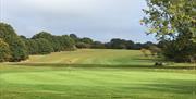 Chingford Golf Course fairway and green