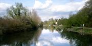 What better way to see the Lee Valley than by a cruise boat.