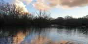 Photograph by Caroline Jones from her book Follow the Light: A year in Epping Forest and Hollow Ponds’