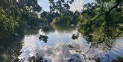 Photograph by Caroline Jones from her book Follow the Light: A year in Epping Forest and Hollow Ponds’