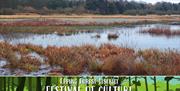 Lee Valley Park wetlands in the winter