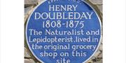 Henry Doubleday blue plaque in Buttercross Lane, Epping.