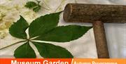 Museum Garden Autumn Programme, Leaf-Pounding Art.